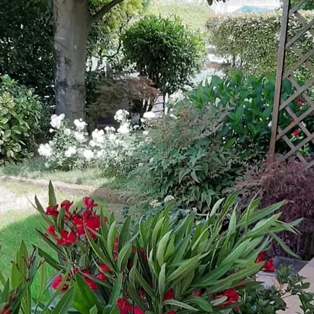 Il Giglio *
