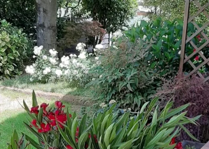 Il Giglio *